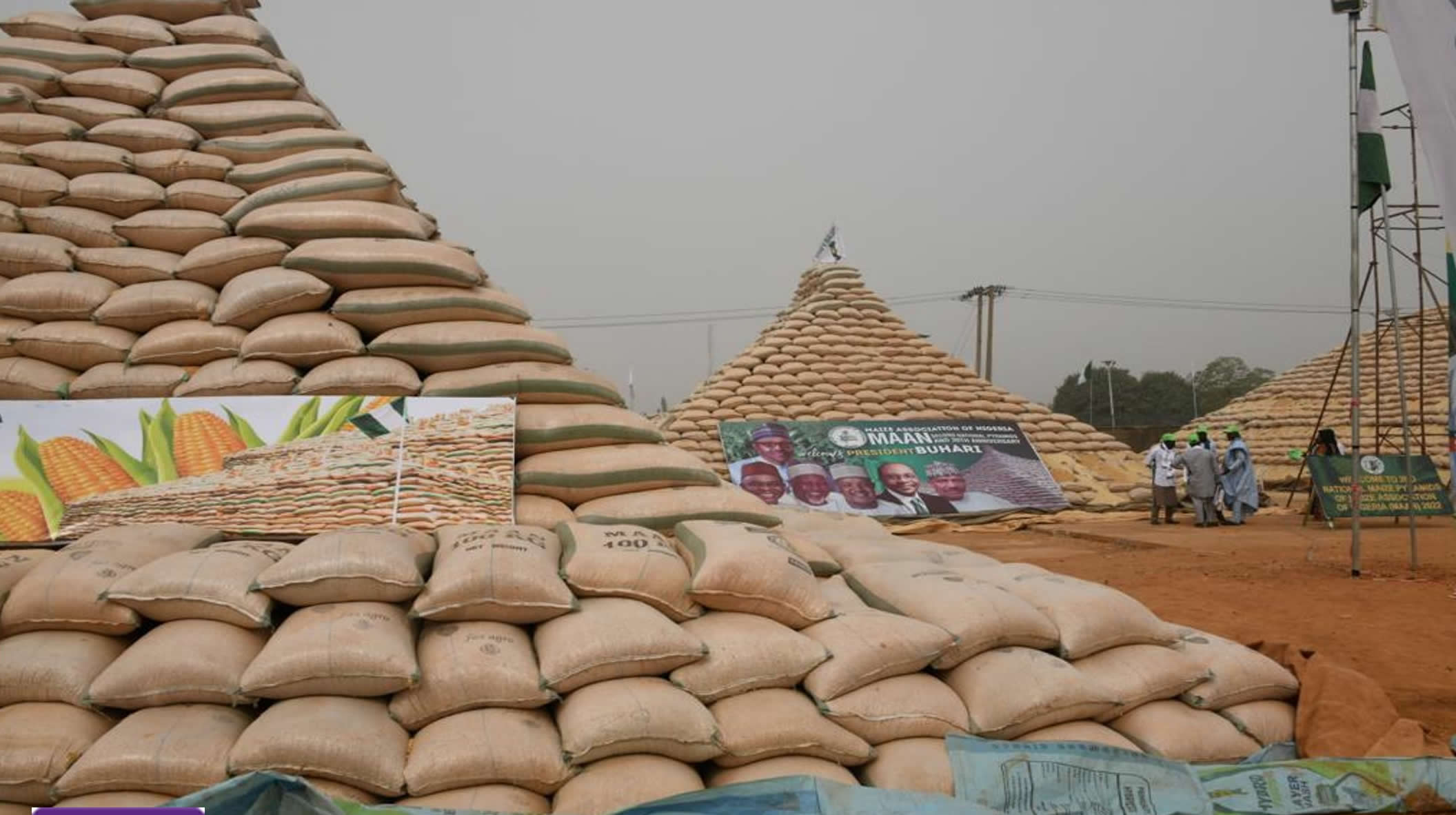 CBN Unveils Maize Pyramids - Proshare